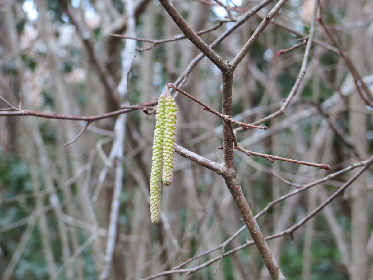 Six on Saturday: Change